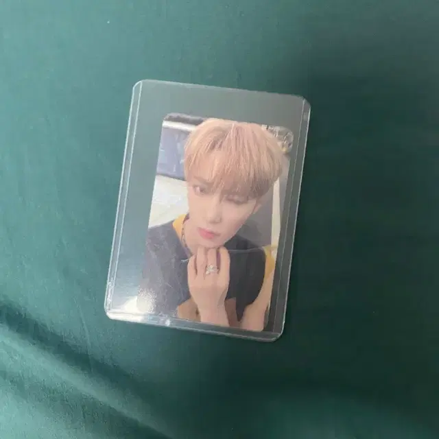 알디원 아르노 포카+앨범