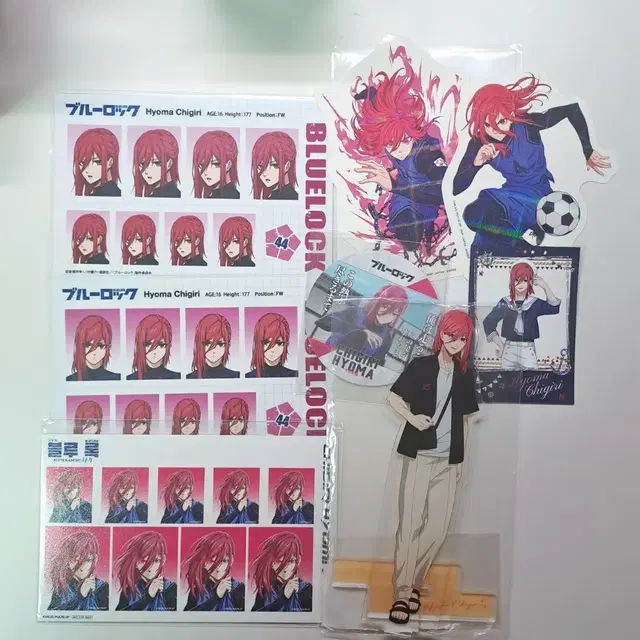 블루록 사복 아크릴 스탠드 증명사진 증사 파샤 치기리