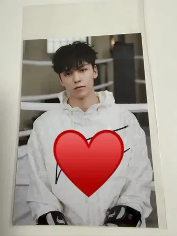 버논 브로마이드 앨범 추첨 사인 포함 친필