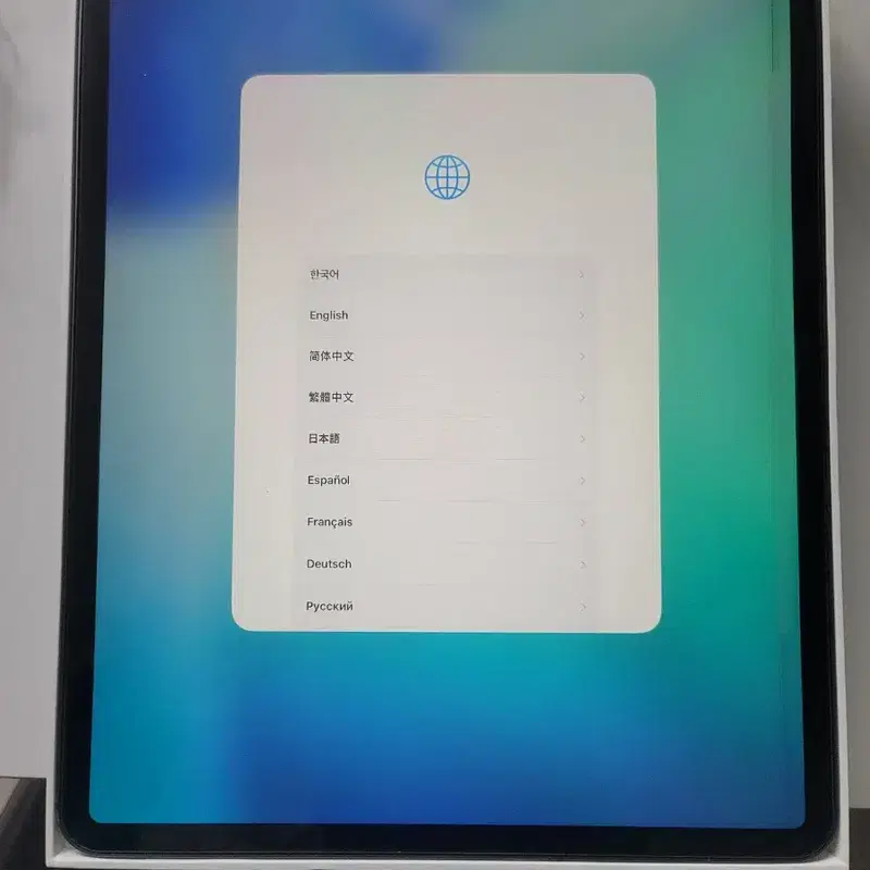 아이패드 프로 12.9 4세대 셀룰러 256GB 필독