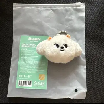 뿔바투 TXT 페이스 키링 범규