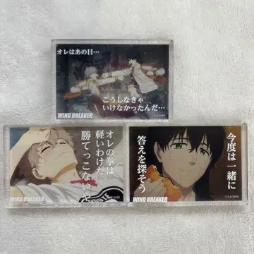 윈브레 토지산 쥬카메 아크릴 블록 다이소