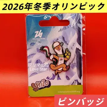 밀라노 코르티나 2026 동계 패럴림픽 핀 배지 미로