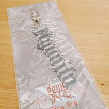 StrayKids VR 아크릴 네임 키링 현진