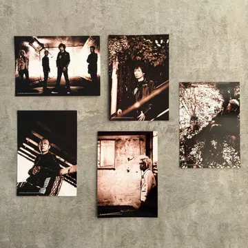 THE MODS 브로마이드 5장 세트 2