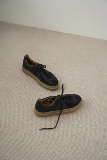 REPRODUCTION OF FOUNDGERMAN x CLANE