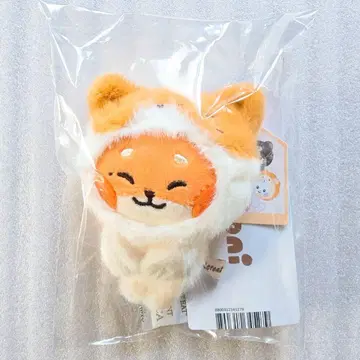 튀니니 메티 마그넷 사진 홀더 봉제 인형 zeroni 제베원