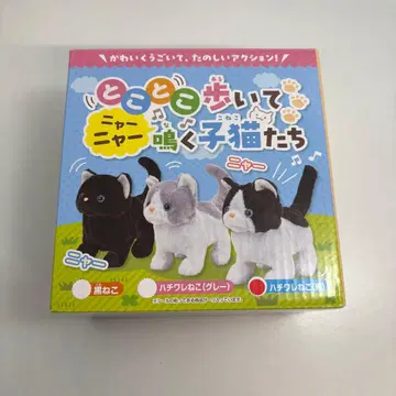 뒤뚱뒤뚱 걸으며 야옹야옹 우는 새끼 고양이들