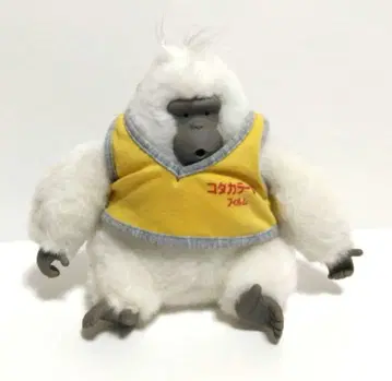 코닥 코다컬러 kiko 현상 당선품 쇼와 레트로