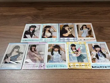 나히 폴라로이드