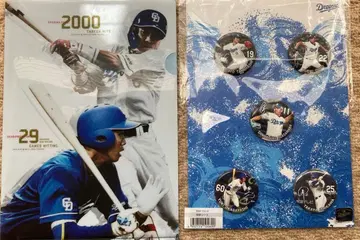 주니치 드래곤즈 캔뱃지, 파일