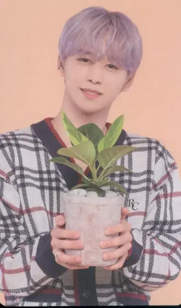 INI 고토 타케루 트레이딩 카드