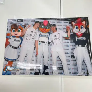 오타니 쇼헤이 니시카와 하루키 니혼햄 파이터즈 공식 하이라이트 사진