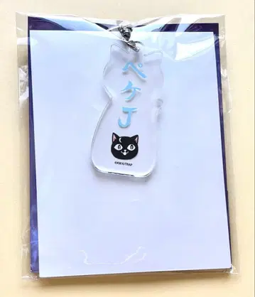 도쿄 리벤저스 에노시마 미션 오나마에 아크릴 키링 페케J