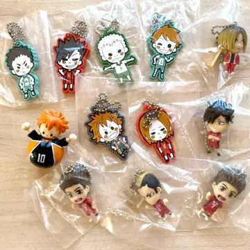 하이큐!! 묶음 판매 12개 가챠 키링 오키아가리코보시 포함!