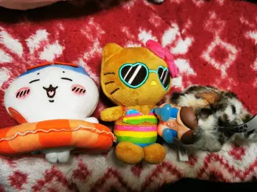 popmart 치이카와 (먼작귀) 키티 캐릭터 봉제 인형 세트 피규어