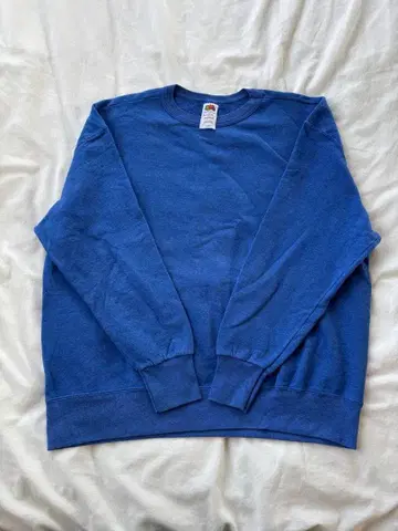 fruit of the loom 맨투맨 ( used )