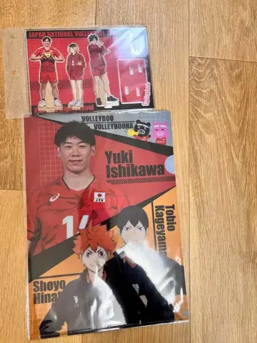 배구 일본 대표 하이큐