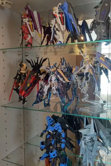 컬렉션 묶음 판매 건담 프라모델 로봇혼 프레임 암즈 걸 등