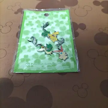 포켓몬 메탈 참 피카츄 두르래곤 빅티니