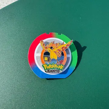 포켓파크 칸토 파이어 핀 배지 핀즈