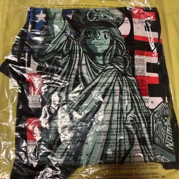 새상품 WWE 프로레슬링 T셔츠 첼시 그린 M사이즈