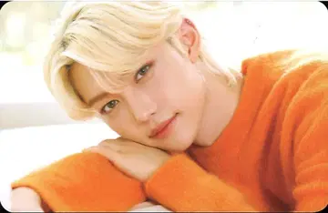 StrayKids WAVE9 FELIX NACIFIC 콜라보 브라운