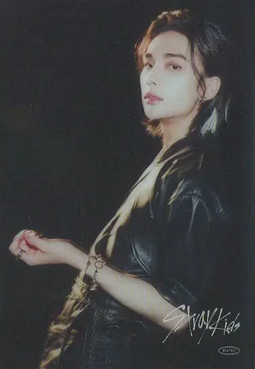 StrayKids TowerRecords 현진 SCARS 클리어