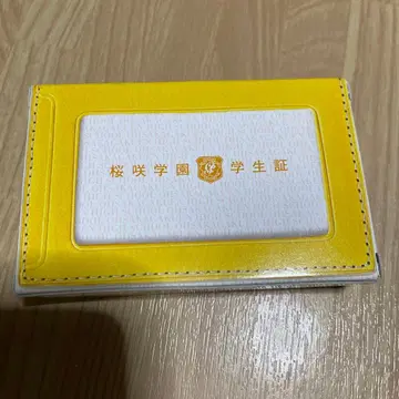 벚꽃 만개 학원 학생증 꽃보다 남자 잘생긴 남자 파라다이스