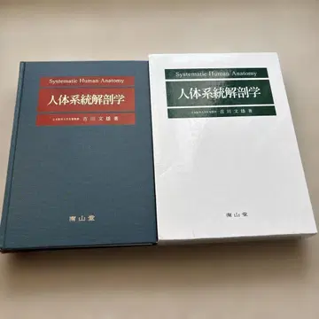 인체 계통 해부학