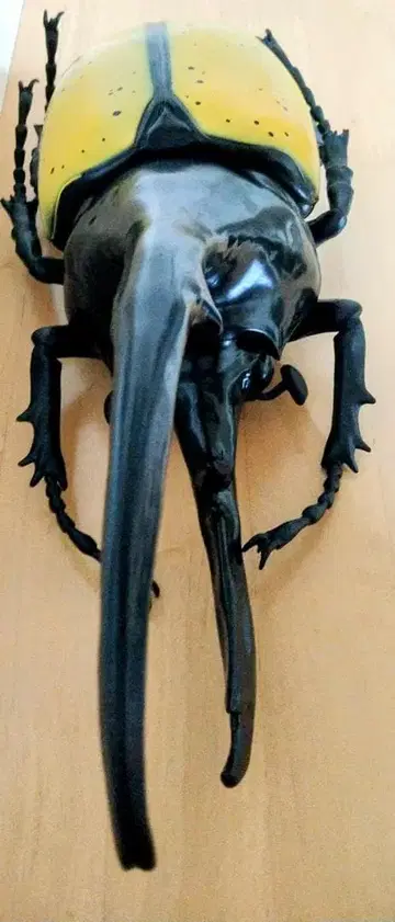 헤라클레스 장수풍뎅이 MEGA 피규어 곤충 큰 특대형 멋지다!!