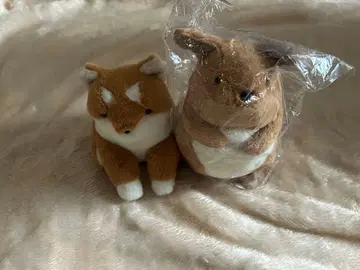 포차 강아지 봉제 인형(시바) 호주 동물 포차 (캥거루)