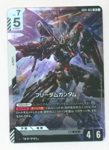 BANDAI Newtype Rising GD01-065 프리덤 건담 LR