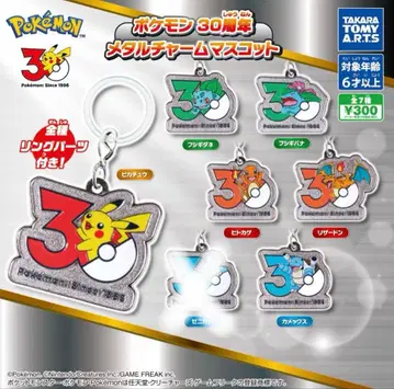 [ 6개 ] 포켓몬 30주년 메탈 참 마스코트