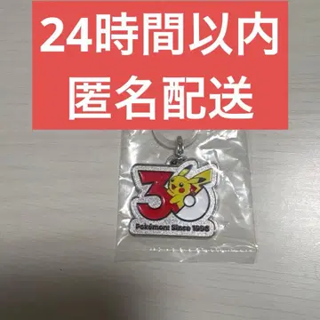 포켓몬 30주년 메탈 참 마스코트 피카츄