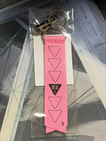 토게나시 토게아리 박동의 미래 리본 참 삿포로 한정판