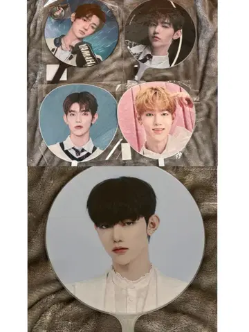 ZB1 장하오 공식 부채