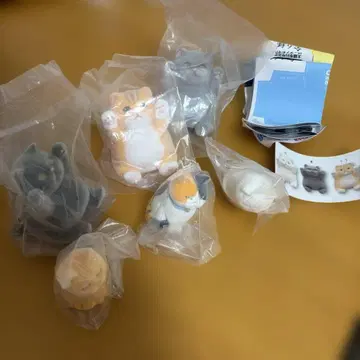 다코치테 고양이 종이 봉투에 들어간 고양이 플로키 6개 세트