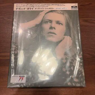 데이비드 보위 DAVID BOWIE 디바인 심메트리 서양 POP