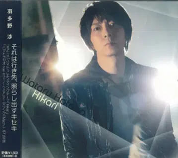 하타노 와타루 아티스트 Hikari