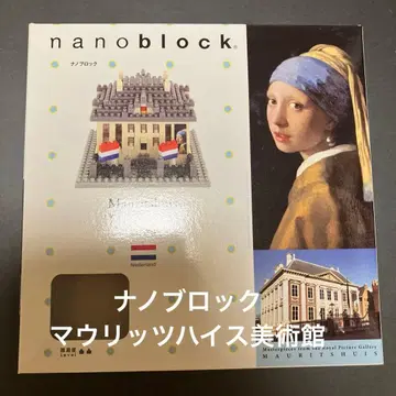 나노블록 마우리츠하이스 미술관