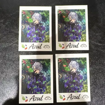 트위스테 전시회 트위스테 아즐 카드 4장