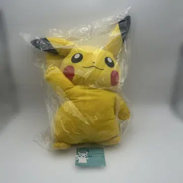 포켓몬 제일복권 피카츄 2013