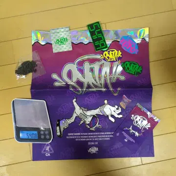 시나 월드 스티커 세트와 스케일 부속품