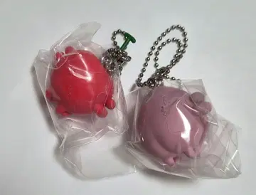 나눔 체리 복숭아 즉시 구매