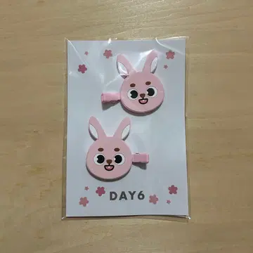 DAY6 데니멀즈 헤어 클립 원필 PIL [가격 인하 중]