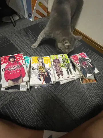 도쿄 리벤저스 코믹스 24권까지