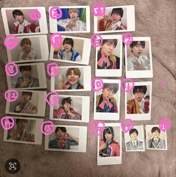 팬더드래곤 나기 하피카 낱개 판매 가능