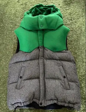 phenomenon 다운 베스트 the north face