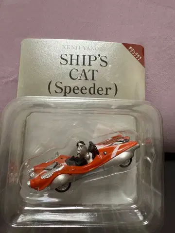 [정품] 야나베 켄지 풀백 SHIP'S CAT Speeder